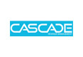 Cross-Cultural Training & Coaching Client